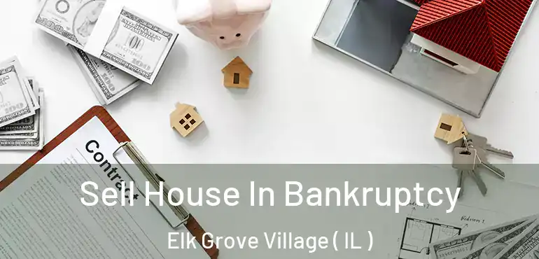  Sell House In Bankruptcy Elk Grove Village ( IL )