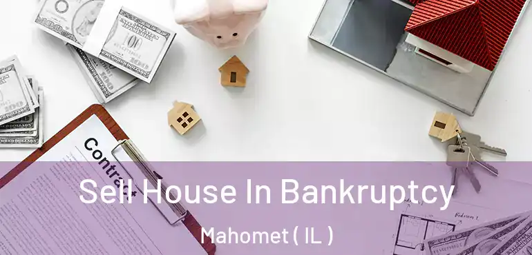  Sell House In Bankruptcy Mahomet ( IL )