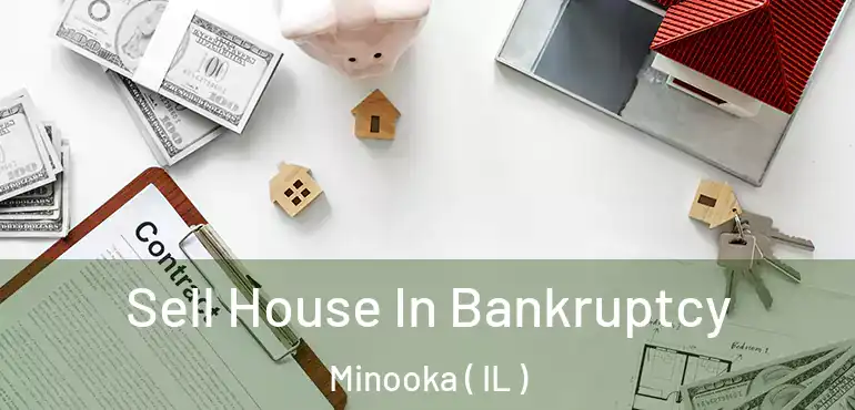  Sell House In Bankruptcy Minooka ( IL )