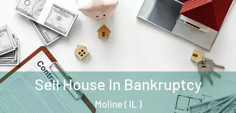 Sell House In Bankruptcy Moline ( IL )