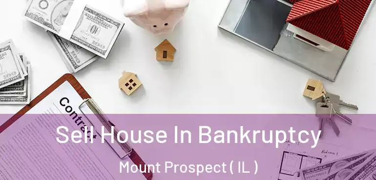  Sell House In Bankruptcy Mount Prospect ( IL )