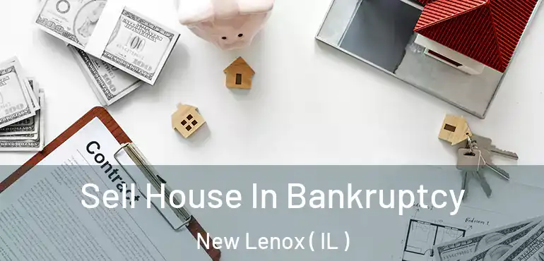  Sell House In Bankruptcy New Lenox ( IL )