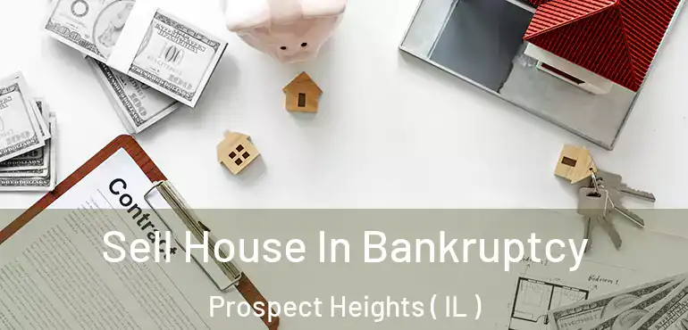  Sell House In Bankruptcy Prospect Heights ( IL )