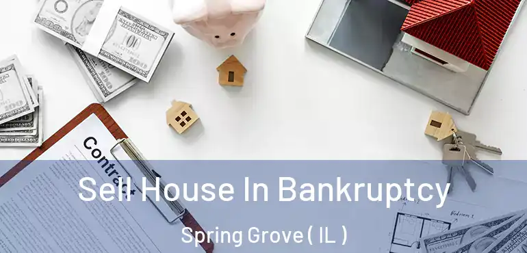  Sell House In Bankruptcy Spring Grove ( IL )