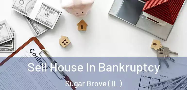  Sell House In Bankruptcy Sugar Grove ( IL )