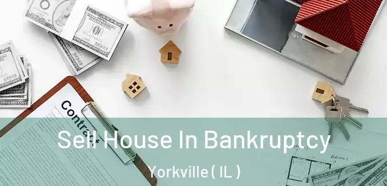  Sell House In Bankruptcy Yorkville ( IL )