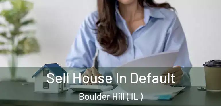  Sell House In Default Boulder Hill ( IL )