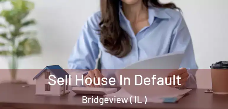  Sell House In Default Bridgeview ( IL )