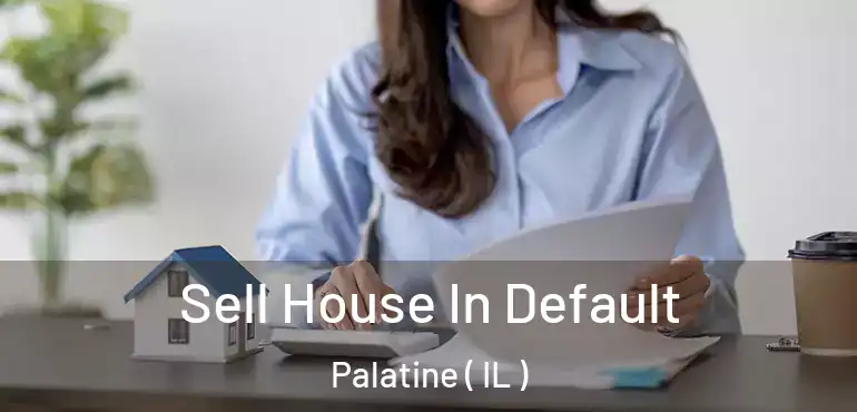  Sell House In Default Palatine ( IL )