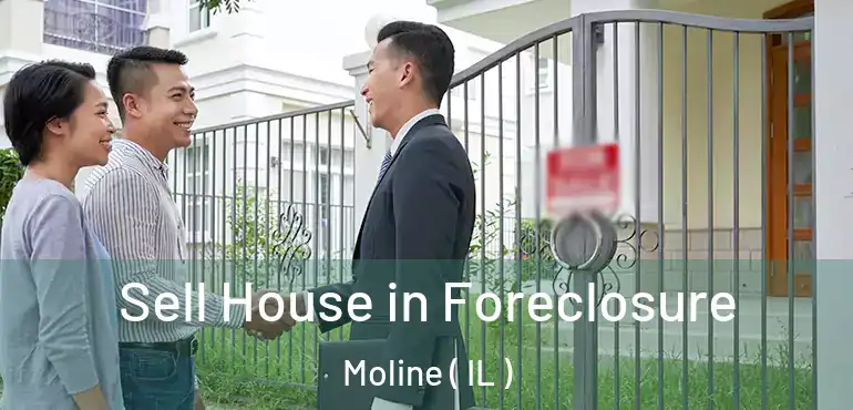  Sell House in Foreclosure Moline ( IL )
