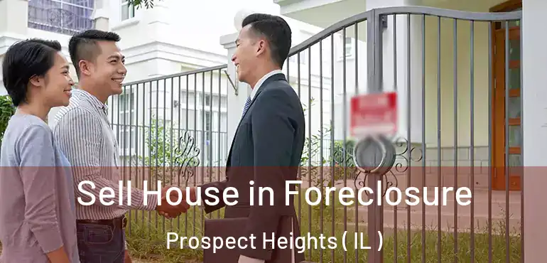  Sell House in Foreclosure Prospect Heights ( IL )