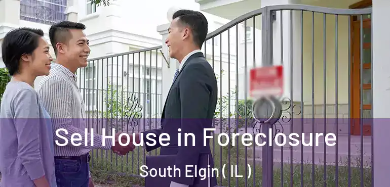  Sell House in Foreclosure South Elgin ( IL )