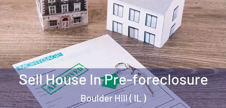  Sell House In Pre-foreclosure Boulder Hill ( IL )