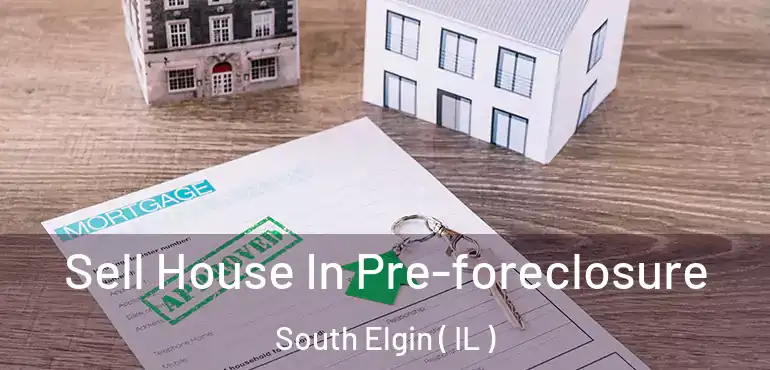  Sell House In Pre-foreclosure South Elgin ( IL )