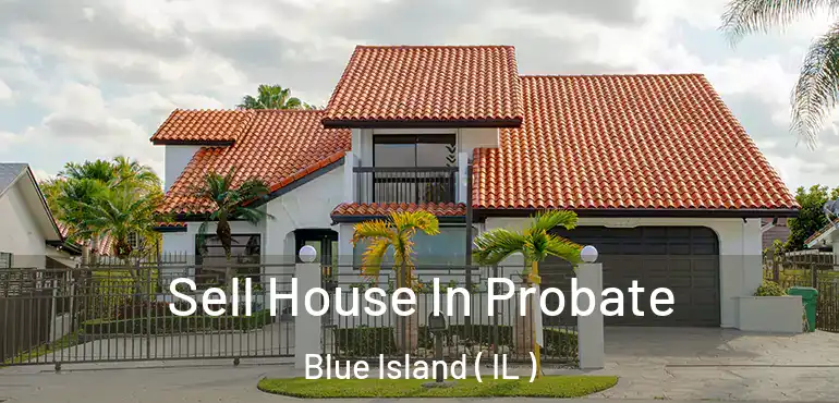  Sell House In Probate Blue Island ( IL )