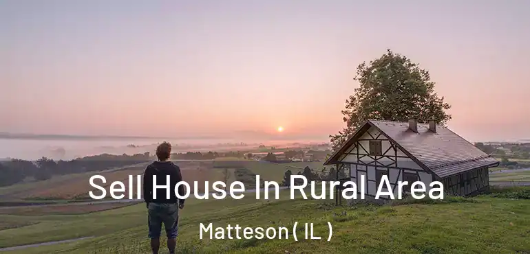  Sell House In Rural Area Matteson ( IL )