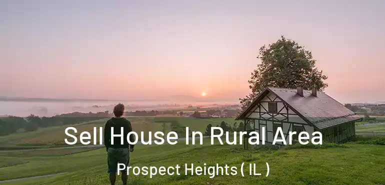  Sell House In Rural Area Prospect Heights ( IL )