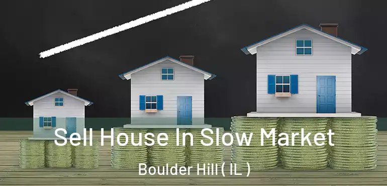  Sell House In Slow Market Boulder Hill ( IL )