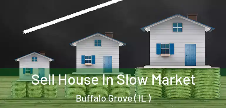  Sell House In Slow Market Buffalo Grove ( IL )