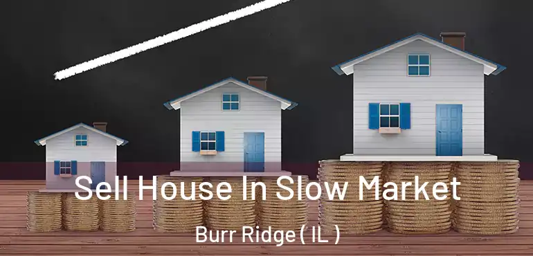  Sell House In Slow Market Burr Ridge ( IL )