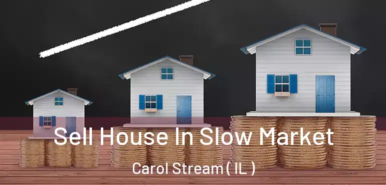  Sell House In Slow Market Carol Stream ( IL )