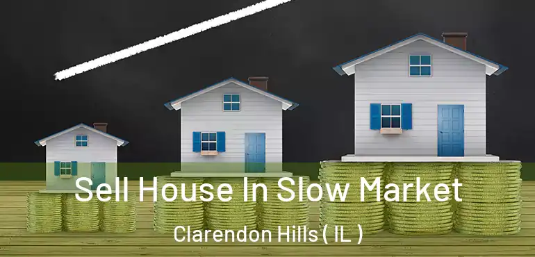  Sell House In Slow Market Clarendon Hills ( IL )