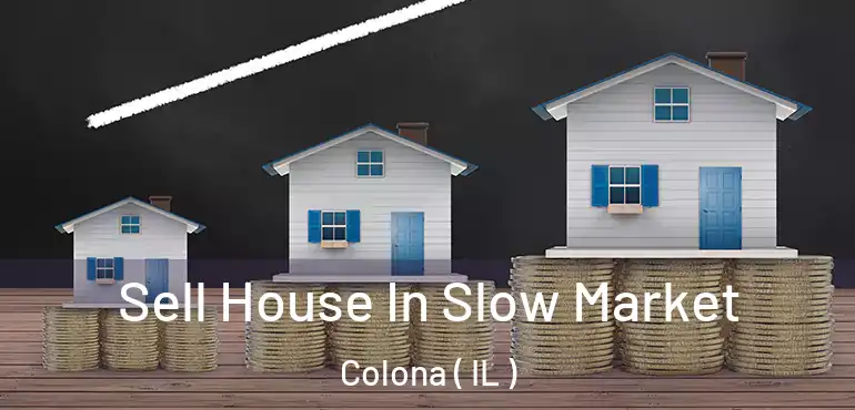  Sell House In Slow Market Colona ( IL )