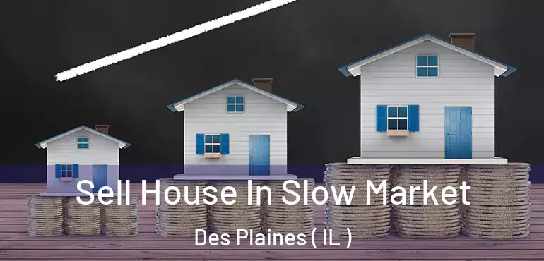  Sell House In Slow Market Des Plaines ( IL )