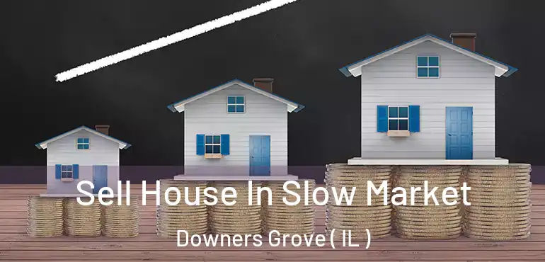  Sell House In Slow Market Downers Grove ( IL )