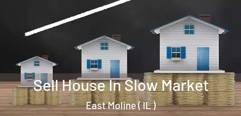  Sell House In Slow Market East Moline ( IL )