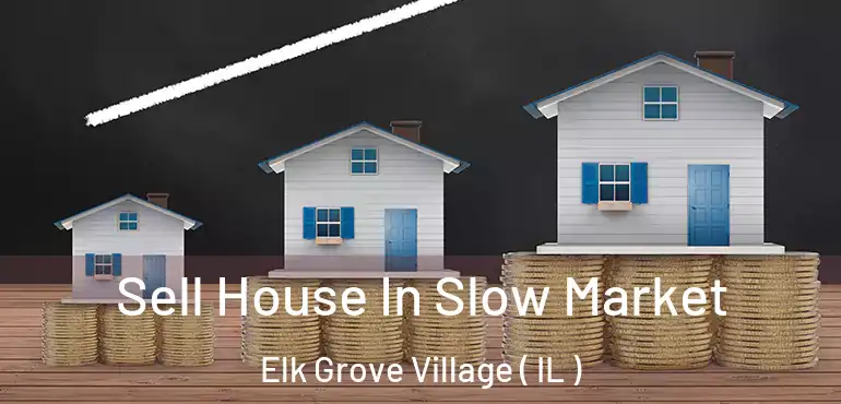  Sell House In Slow Market Elk Grove Village ( IL )