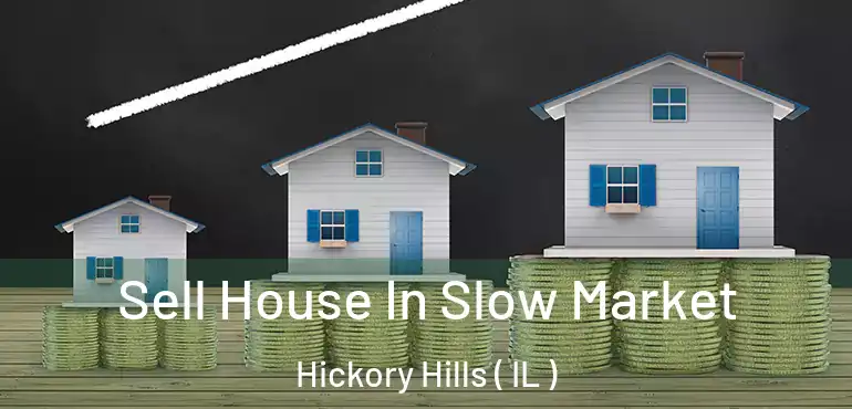  Sell House In Slow Market Hickory Hills ( IL )