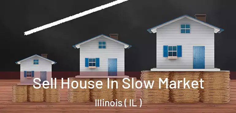  Sell House In Slow Market Illinois ( IL )