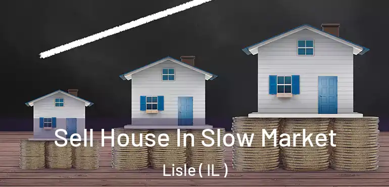  Sell House In Slow Market Lisle ( IL )
