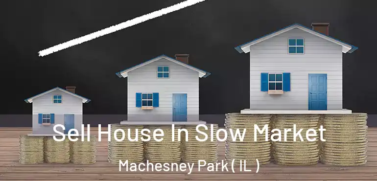  Sell House In Slow Market Machesney Park ( IL )