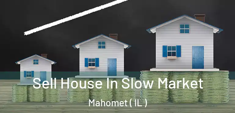  Sell House In Slow Market Mahomet ( IL )
