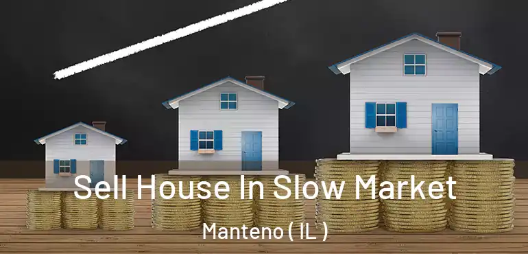  Sell House In Slow Market Manteno ( IL )
