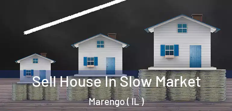  Sell House In Slow Market Marengo ( IL )