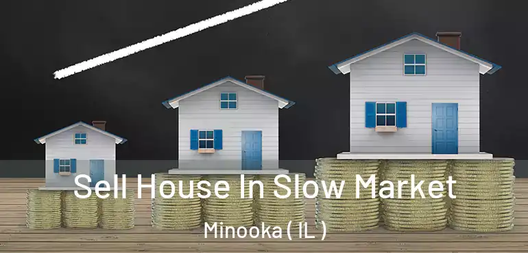  Sell House In Slow Market Minooka ( IL )