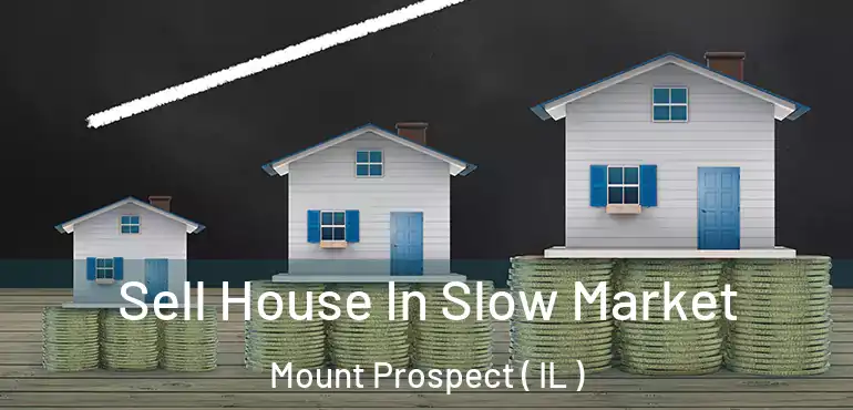  Sell House In Slow Market Mount Prospect ( IL )