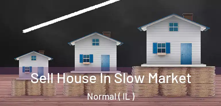  Sell House In Slow Market Normal ( IL )