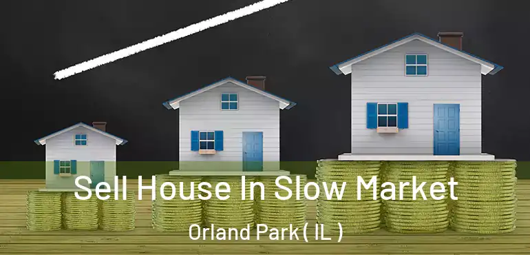  Sell House In Slow Market Orland Park ( IL )