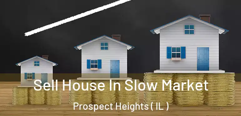  Sell House In Slow Market Prospect Heights ( IL )