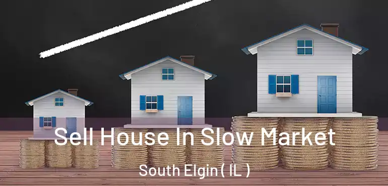  Sell House In Slow Market South Elgin ( IL )
