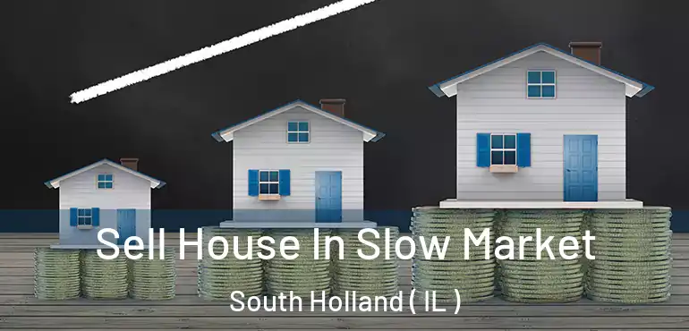  Sell House In Slow Market South Holland ( IL )
