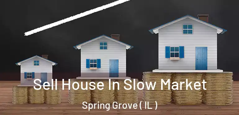  Sell House In Slow Market Spring Grove ( IL )