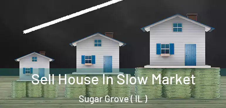  Sell House In Slow Market Sugar Grove ( IL )