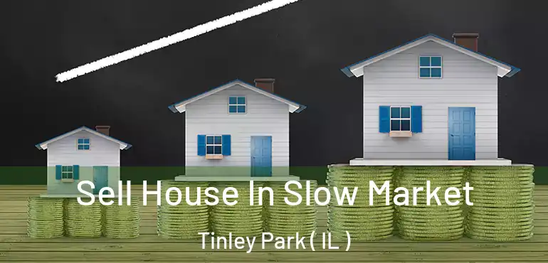  Sell House In Slow Market Tinley Park ( IL )