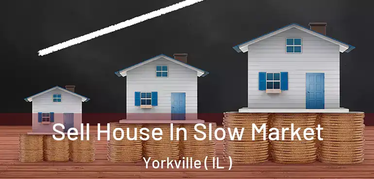  Sell House In Slow Market Yorkville ( IL )