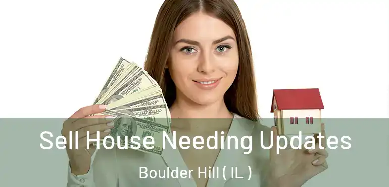  Sell House Needing Updates Boulder Hill ( IL )